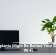 Houseplants Might Be Behind Your Sluggish Wi-Fi