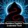 New Python Backdoor Exploits Tunneling for Credential Theft