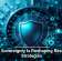 Cyber Sovereignty Is Reshaping Resilience Strategies